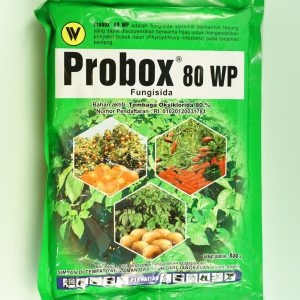 PROBOX 80WP 800GR (4)