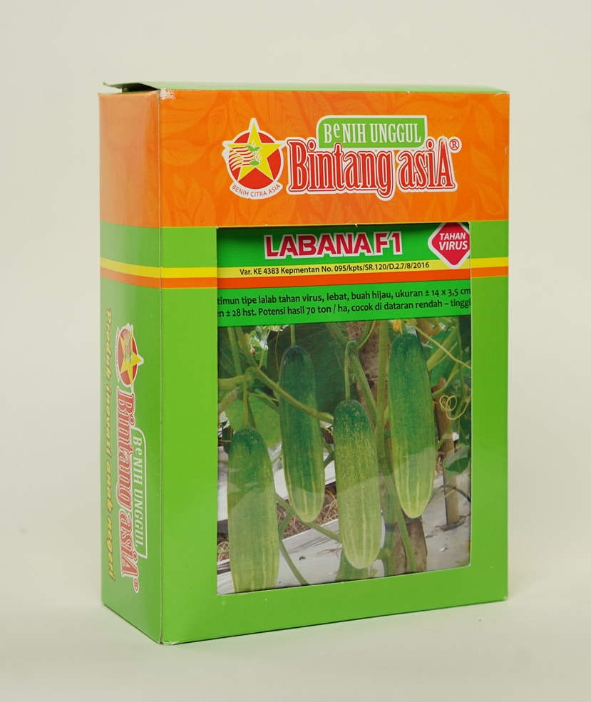 LABANA F1 20GR3