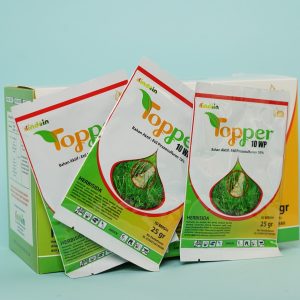 TOPPER 10WP 25GR7